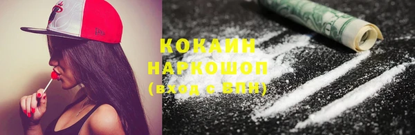 амф Ладушкин