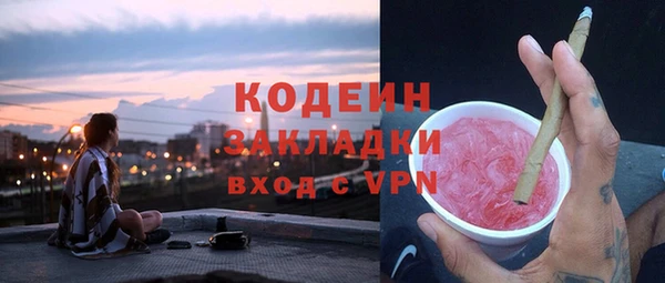 амф Ладушкин