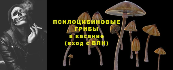 сатива Лагань