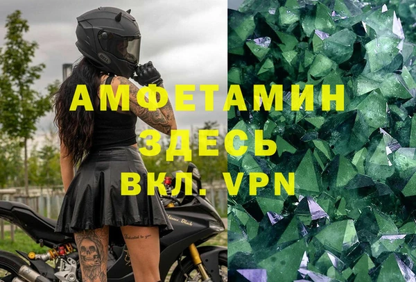 амф Ладушкин