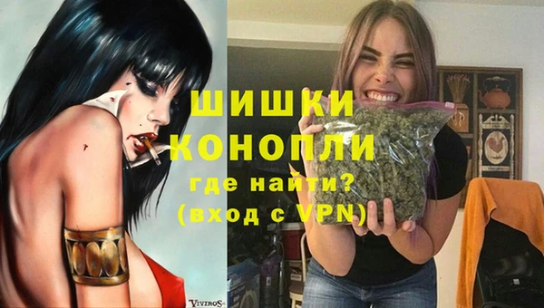 амф Ладушкин