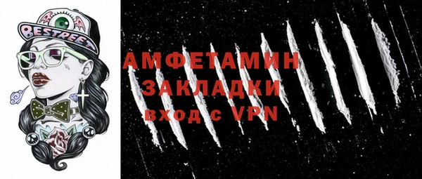 амф Ладушкин