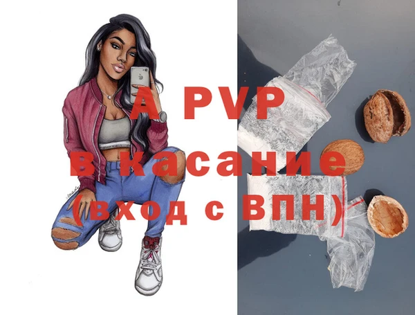 сатива Лагань