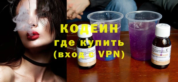 амф Ладушкин