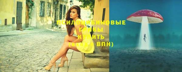 амф Ладушкин